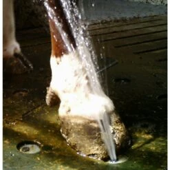 Vink Klauwen Sproeimat -Excellent || Trixie Winkel vink klauwen sproeimat 2