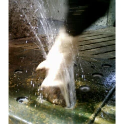 Vink Klauwen Sproeimat -Excellent || Trixie Winkel vink klauwen sproeimat 3