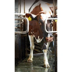 Vink Klauwen Sproeimat -Excellent || Trixie Winkel vink klauwen sproeimat 4