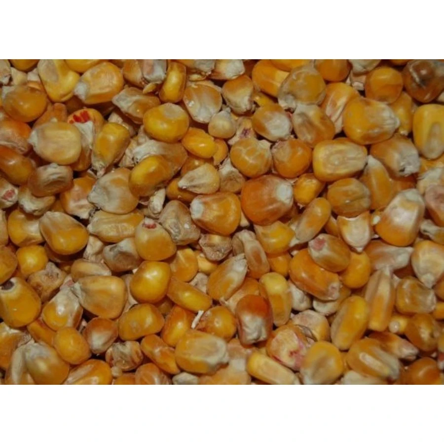 Wielink Gele Mais Frans 20 Kg 1 Wielink Gele Mais Frans 20 Kg