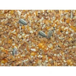 Wielink Scharrelgraan