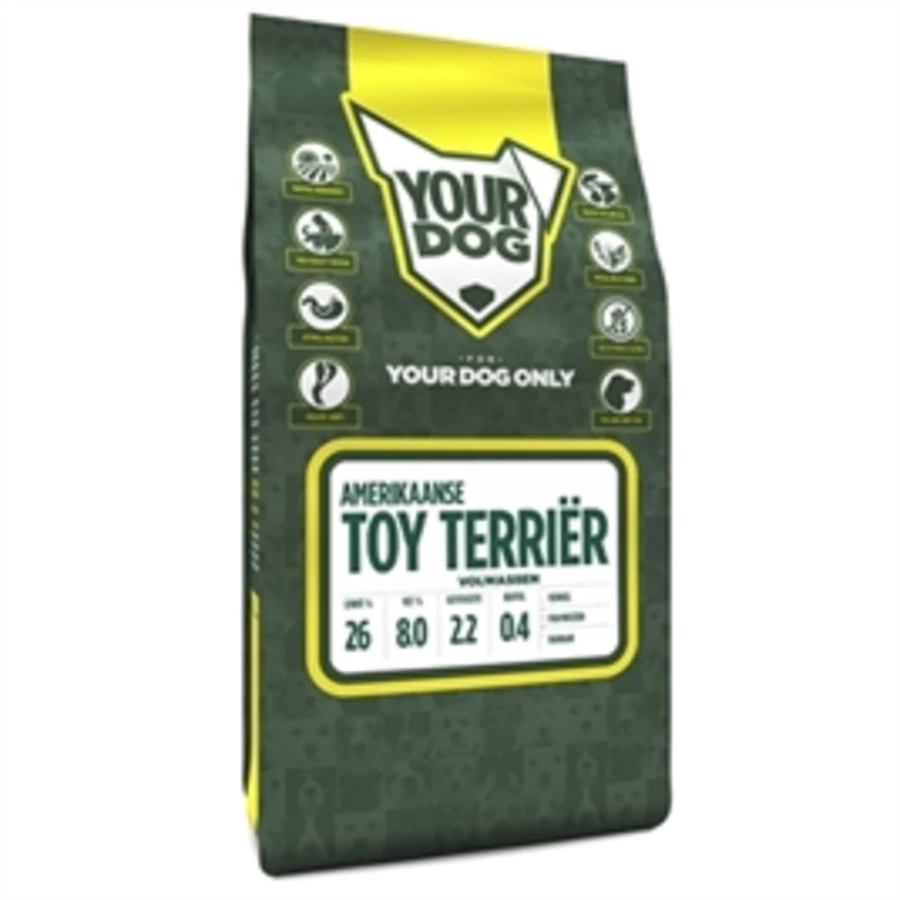 Yourdog Amerikaanse Toy Terriër Volwassen 1 Yourdog Amerikaanse Toy Terriër Volwassen