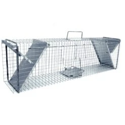 Zielona Lapka 2 Deurs Marter Vangkooi XL