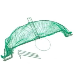 Zielona Lapka Grote Klapval