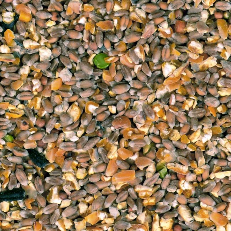 Excellent || Trixie Winkel -Excellent || Trixie Winkel duvo poeljengraan blanco